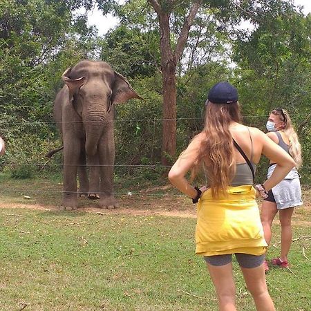 Nature Lovers Safari & Villa Udawalawe Exterior photo