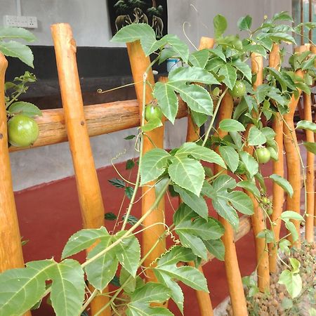Nature Lovers Safari & Villa Udawalawe Exterior photo